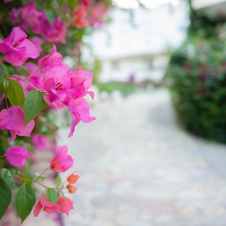 Bougainville Bay Apartments Saranda Extérieur photo